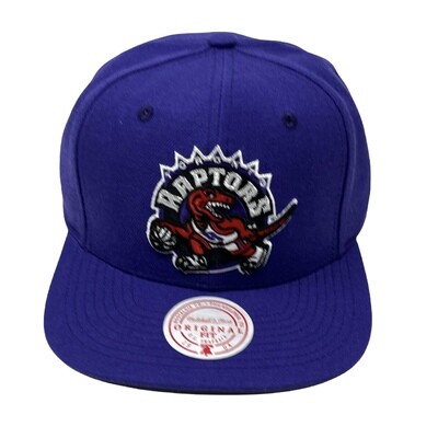 Toronto Raptors Men’s Mitchell & Ness NBA Team Ground 2.0 Snapback Hat