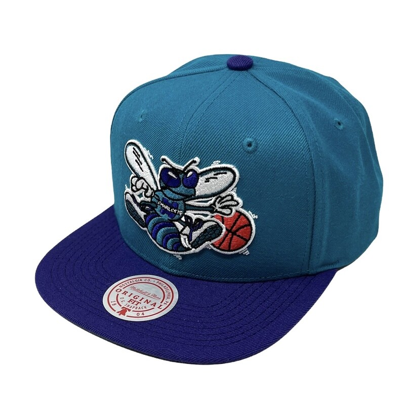 Charlotte Hornets Men’s Mitchell & Ness NBA Team 2 Tone Snapback Hat