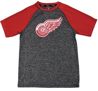Detroit Red Wings Men's Fanatics T-Shirt