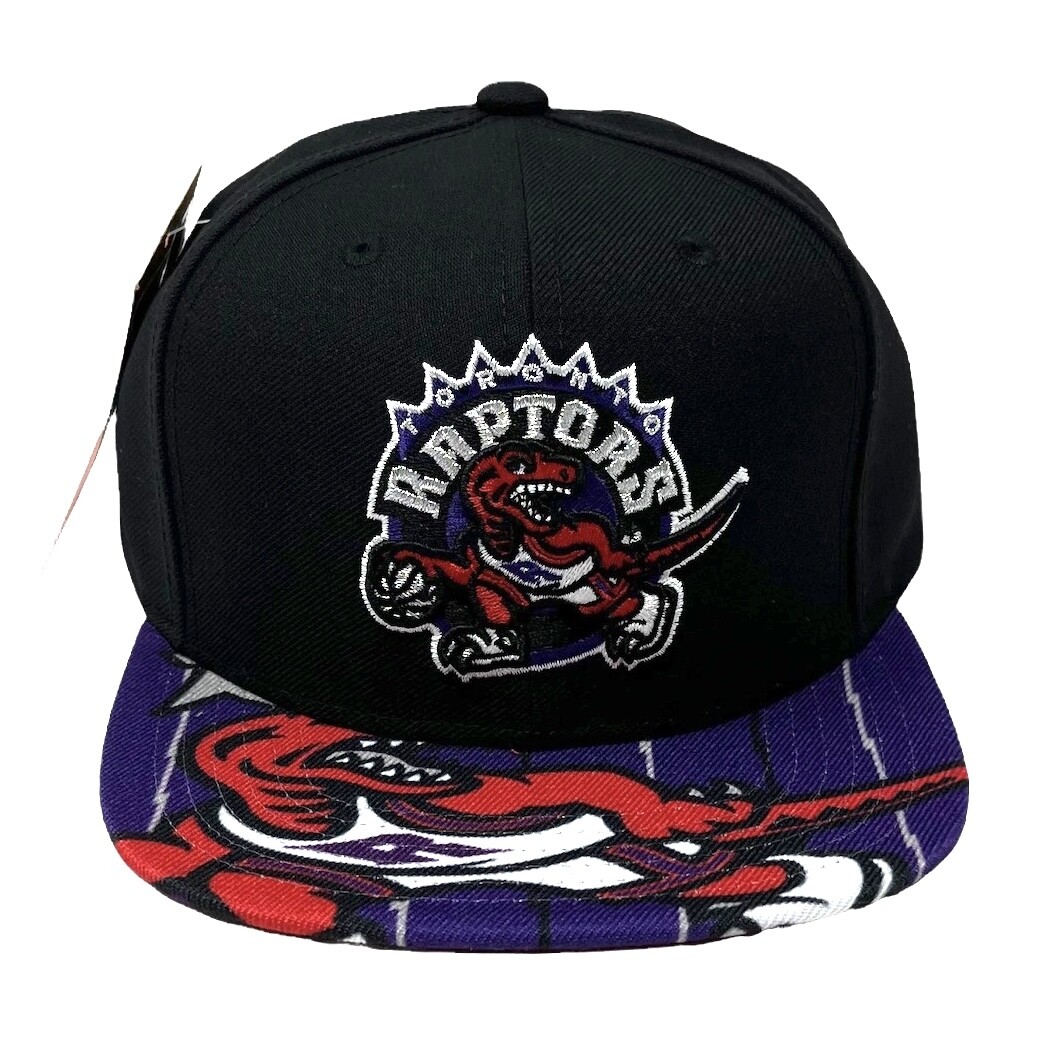 Toronto Raptors Pop Mitchell & Ness Snapback Hat