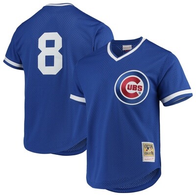 Chicago Cubs Andre Dawson 1987 Men's Blue Mitchell & Ness Mesh Jersey