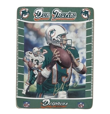 Miami Dolphins Dan Marino 369 Touchdowns Porcelain Collector Plate