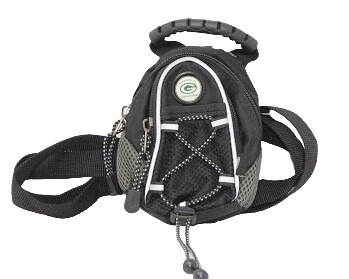 Green Bay Packers Mini Backpack