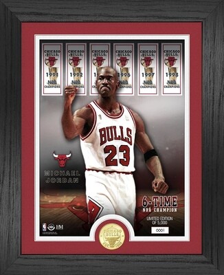 Chicago Bulls Michael Jordan 6 Time NBA Champ Banners Bronze Coin Photo Mint