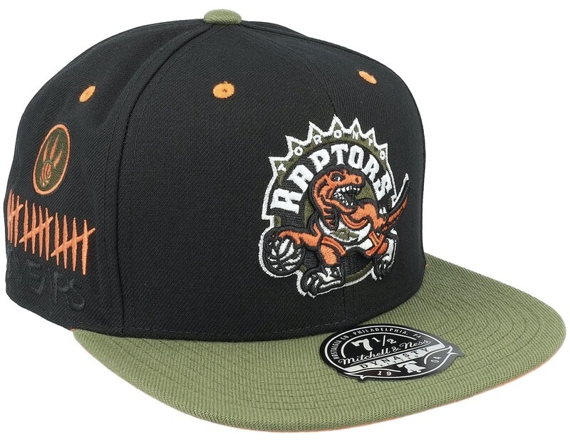 Toronto Raptors Men’s Mitchell & Ness NBA Take Flight HWC Fitted Hat