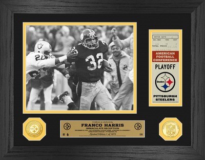 Pittsburgh Steelers Franco Harris Immaculate Reception 50th Anniversary Ticket Photo Mint