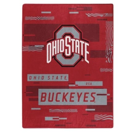 Ohio State Buckeyes 60" x 80" Plush Raschel Blanket