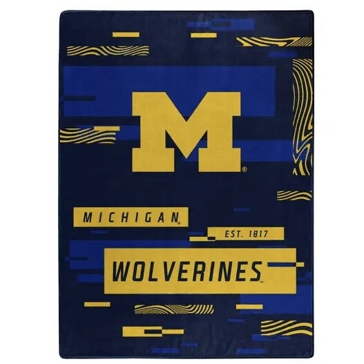 Michigan Wolverines 60" x 80" Plush Raschel Blanket