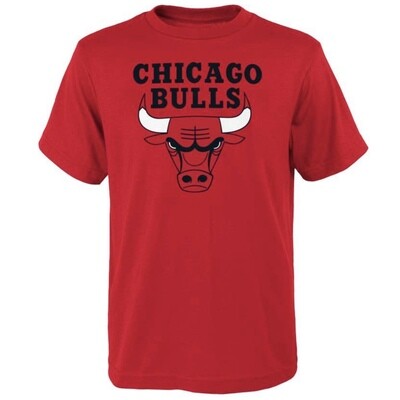 Chicago Bulls Youth NBA Logo T-Shirt
