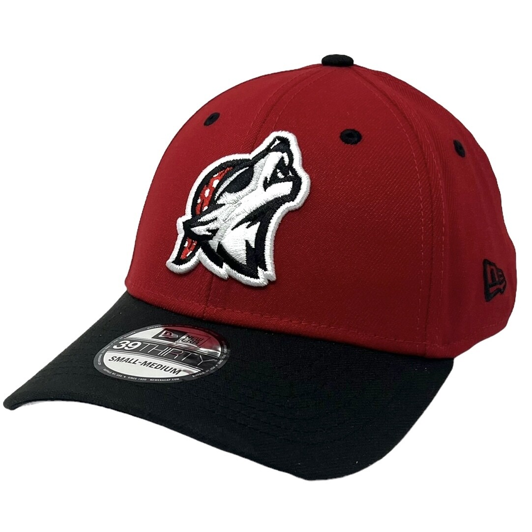 Erie Seawolves Men's New Era 39Thirty Flex Fit Hat