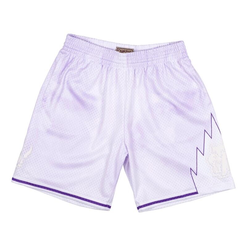 Toronto Raptors 98-99 Men's Cloudy Skies Mitchell & Ness Swingman Shorts