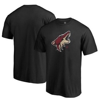 Arizona Coyotes Black Youth NHL T-Shirt