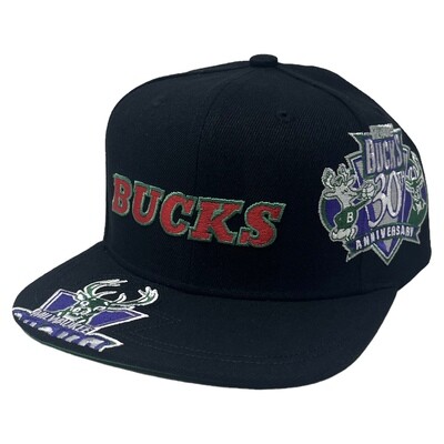 Milwaukee Bucks Men’s NBA Landed Mitchell & Ness Snapback Hat