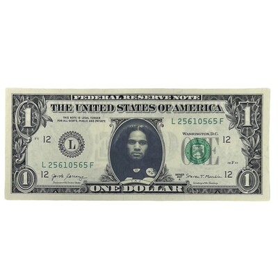 Troy Polamalu Taz Famous Face Dollar Bill