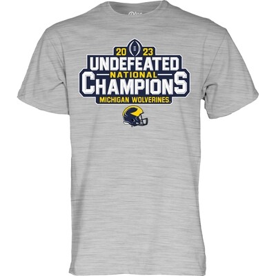 Michigan Wolverines Men's 2023 National Champions Grey Undefeated T-Shirt