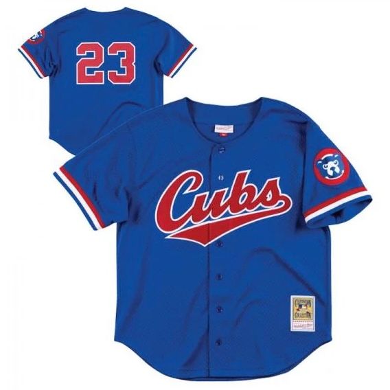Chicago Cubs Ryne Sandberg 1996 Men's Blue Mitchell & Ness Mesh Full Button Up Jersey