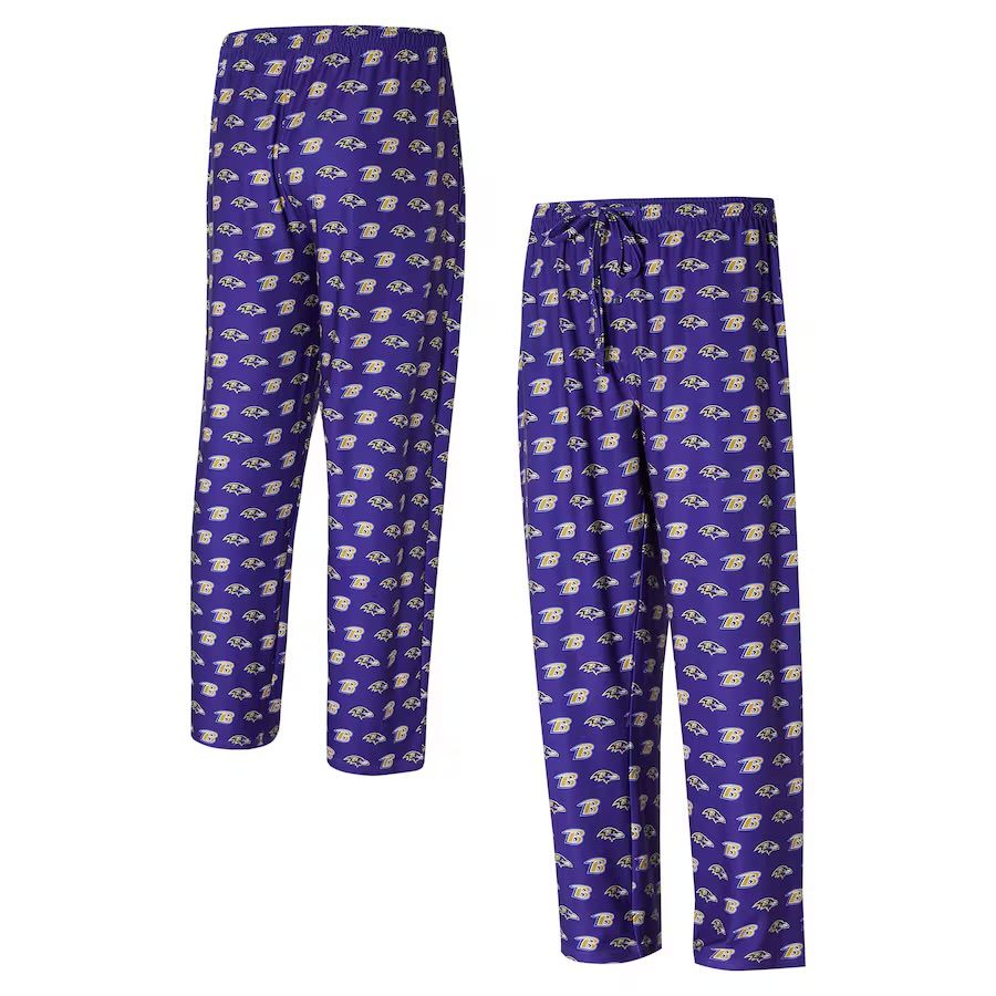 Minnesota Vikings Men's Concept Sports Record Pajama Pants