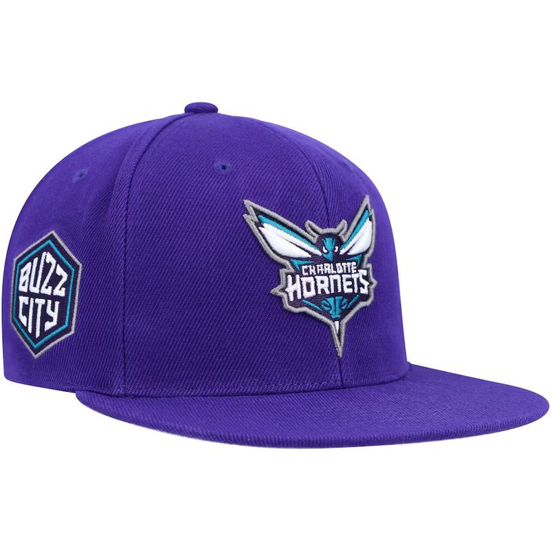 Charlotte Hornets Men’s Mitchell & Ness NBA Side Core 2.0 Snapback Hat