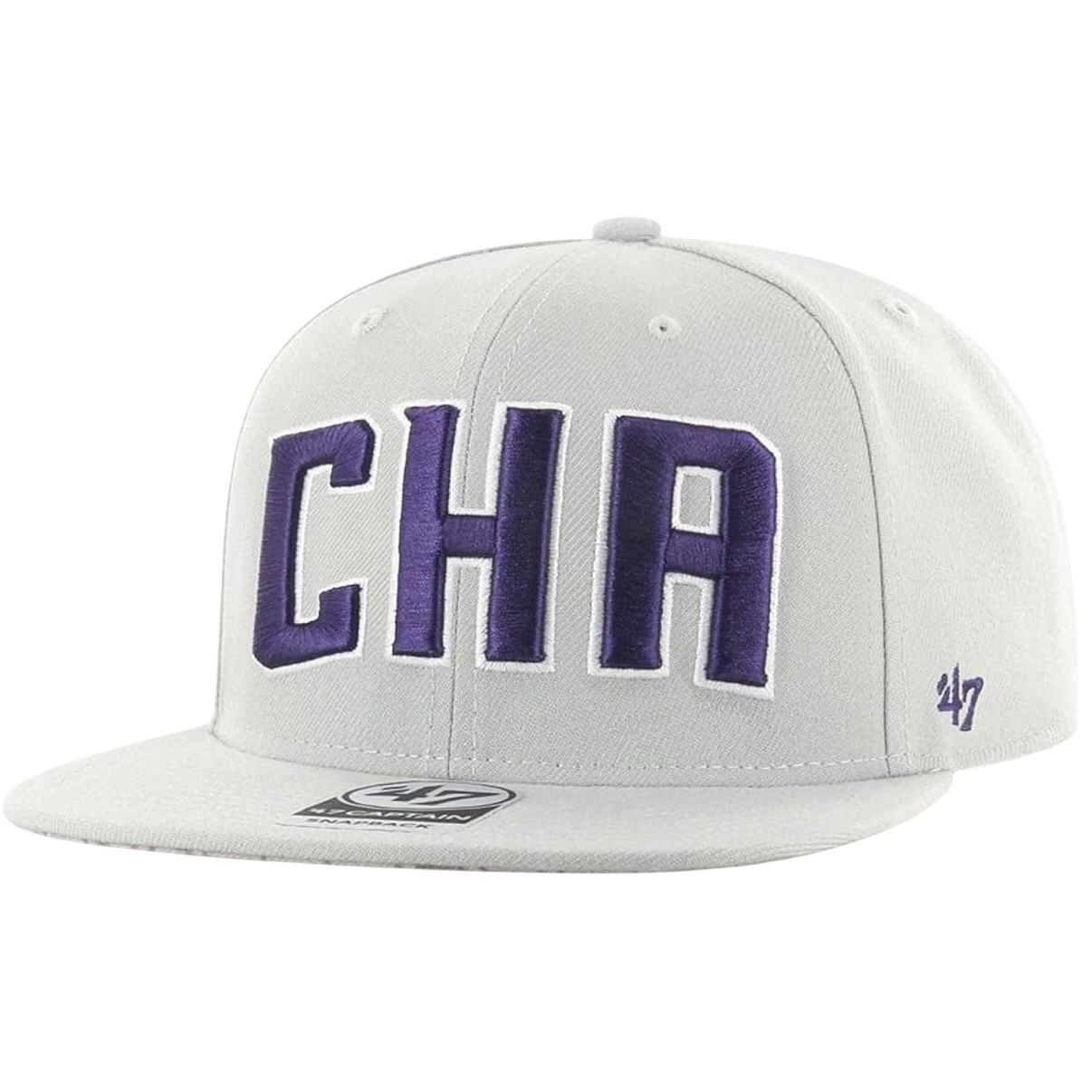 Charlotte Hornets Men’s 47 Brand Captain Snapback Hat