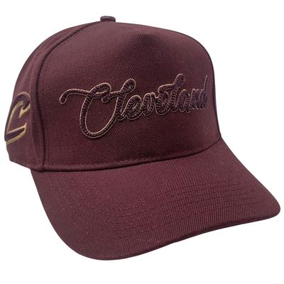 Cleveland Cavaliers Men’s Script Pro Standard Adjustable Hat