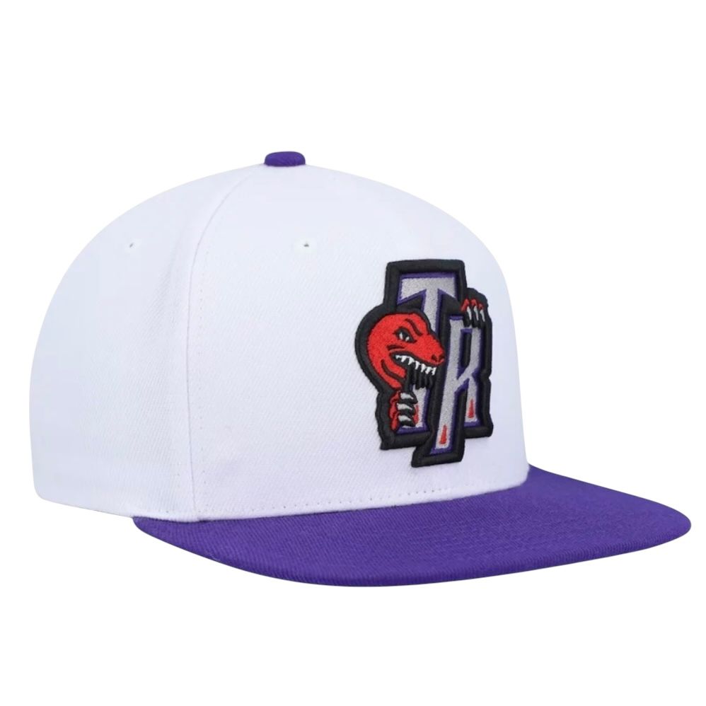 Toronto Raptors Men’s Mitchell & Ness NBA Core Basic Snapback Hat