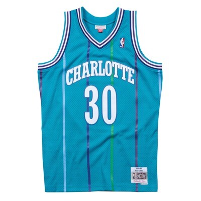 Charlotte Hornets Dell Curry 1992-93 Men's Teal Mitchell & Ness Swingman Jersey