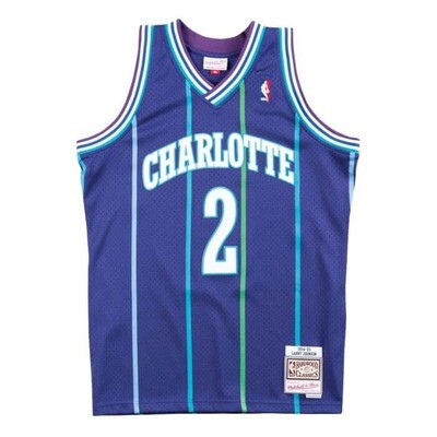 Charlotte Hornets Larry Johnson 1994-95 Men's Purple Mitchell & Ness Swingman Jersey