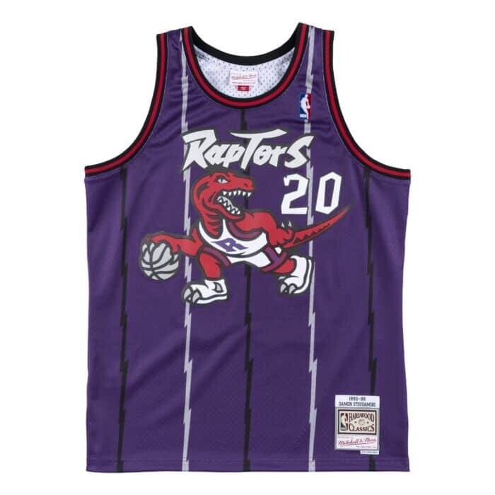 Toronto Raptors Damon Stoudamire 1995-96 Men's Purple Mitchell & Ness Swingman Jersey