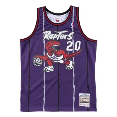 Toronto Raptors Damon Stoudamire 1995-96 Men's Purple Mitchell & Ness Swingman Jersey