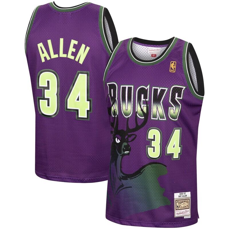 Milwaukee Bucks Ray Allen 96-97 Purple Men's Mitchell & Ness Reload Swingman Jersey