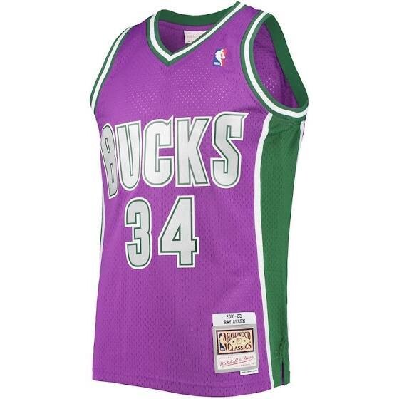 Milwaukee Bucks Ray Allen 2001-02 Men's Purple Mitchell & Ness Swingman Jersey
