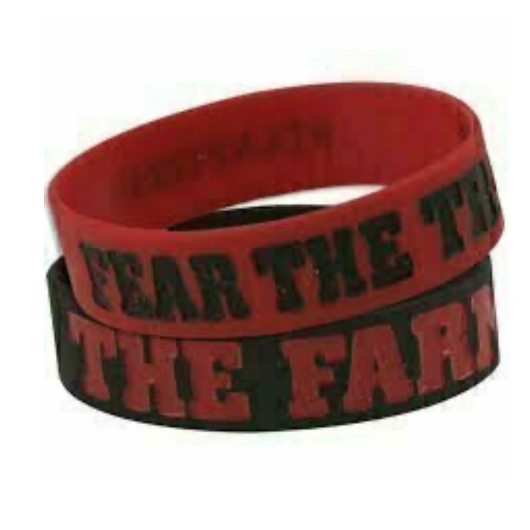 Stanford Cardinal Rubber Bulk Wrist Bands