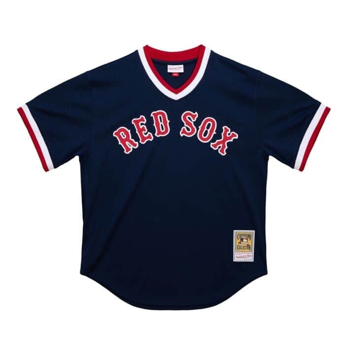 Boston Red Sox Carl Yastrzemski 1989 Men's Blue Mitchell & Ness Mesh Full Button Up Jersey