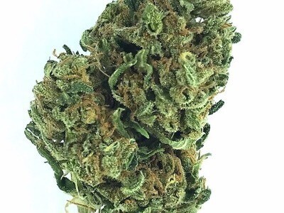 Invest in organicmarijuana.com
