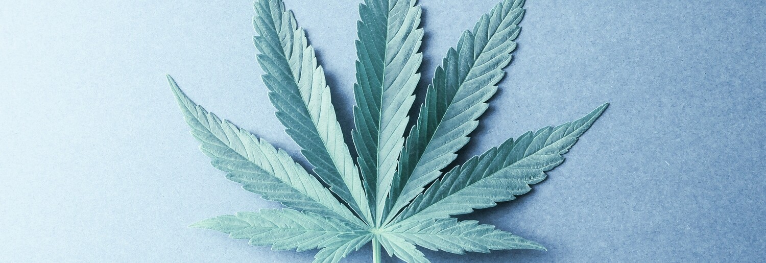 Invest  in organicmarijuana.com