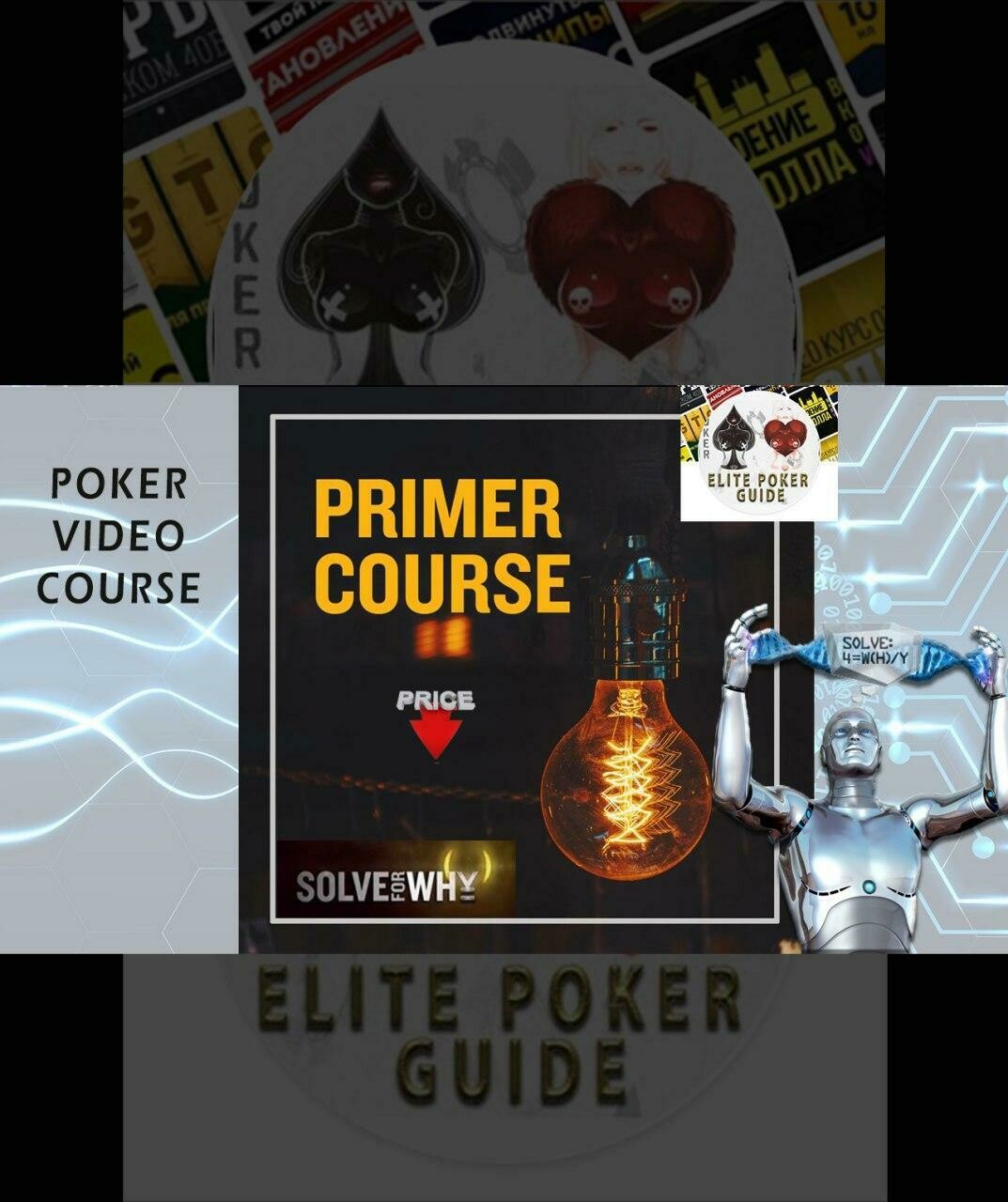 PRIMER COURSE - SOLVE FOR WHY ACADEMY S4W - Courses Poker Cheap