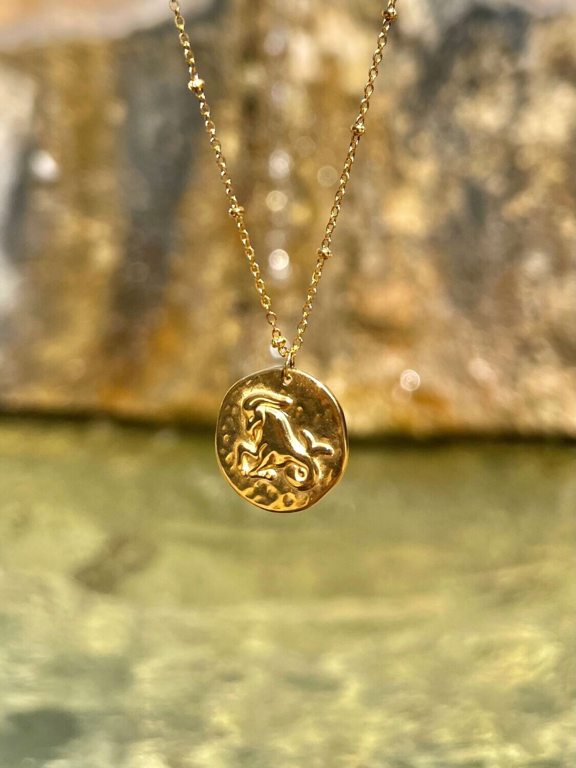 Médaille Capricorne