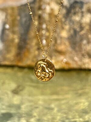 Médaille Capricorne