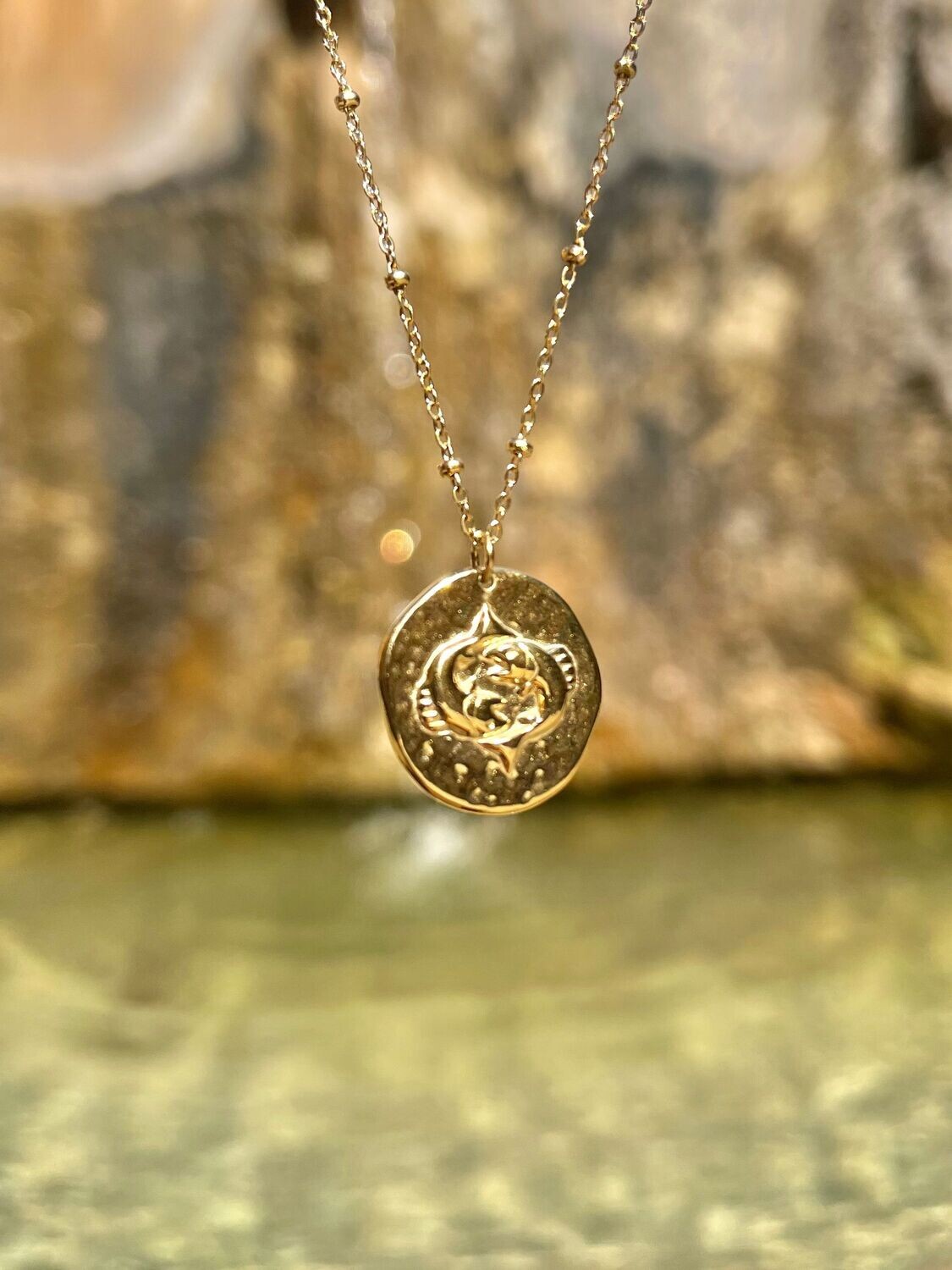 Médaille Poisson