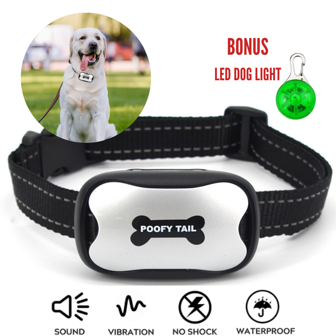 great dane bark collar