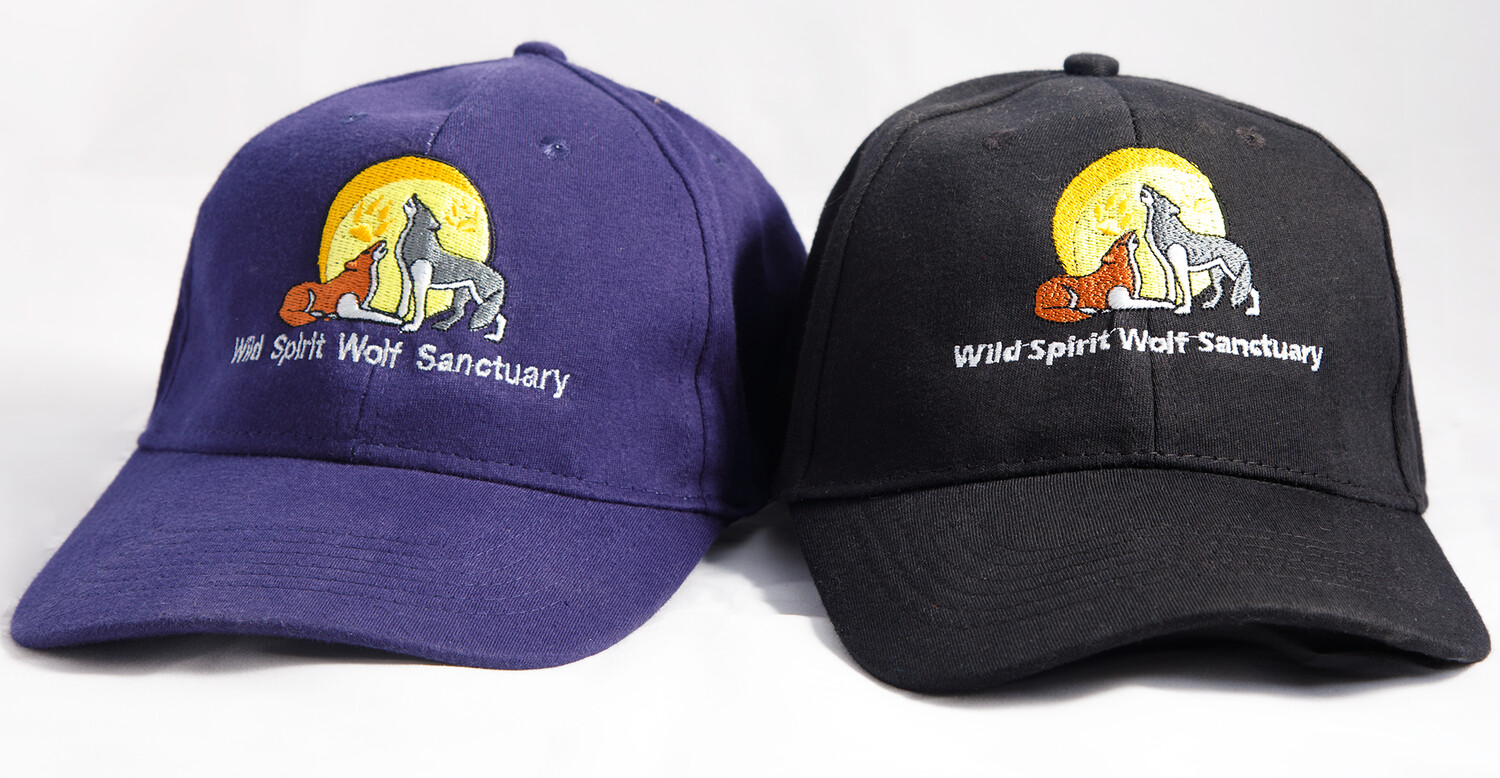 WSWS Cap with Logo WSWS Cap with Logo