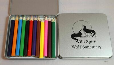 Colored Pencil Tin Box