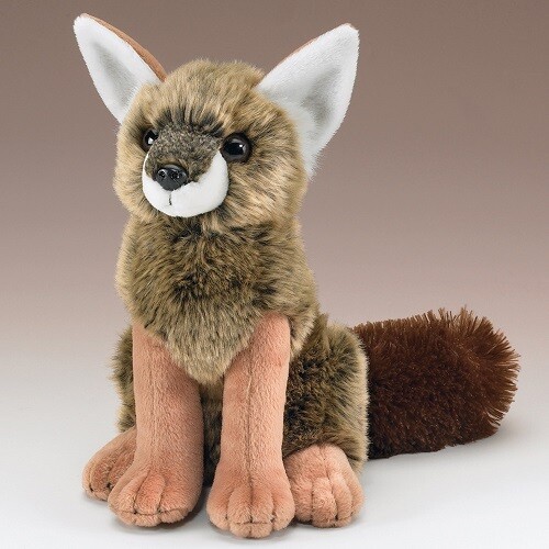 Clearance Coyote Clearance Coyote