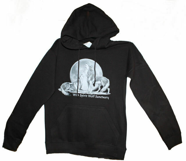 Hoodie with Large WSWS Logo Hoodie with Large WSWS Logo
