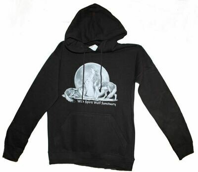 Hoodie with Large WSWS Logo