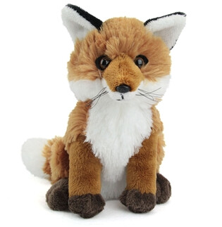 Red Fox Pup