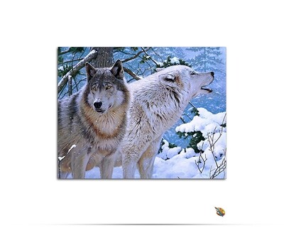 Wolf Paint by Numbers Kit