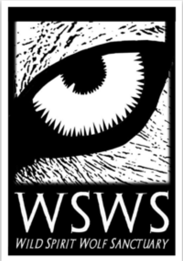 Sticker - Wolf Eye Logo Sticker - Wolf Eye Logo