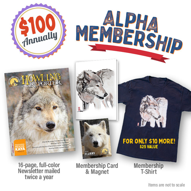 Alpha Membership Alpha Membership