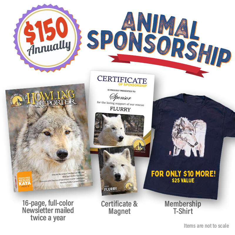 Animal Sponsorship Animal Sponsorship
